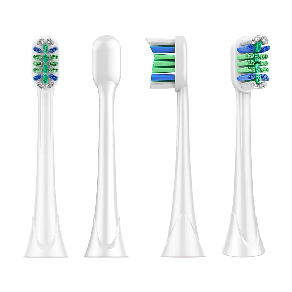 toothbrush heads BL